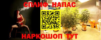 гидра Партизанск