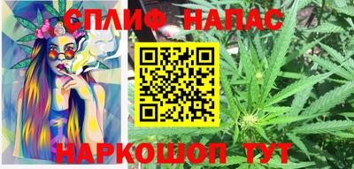 тгк Пенза