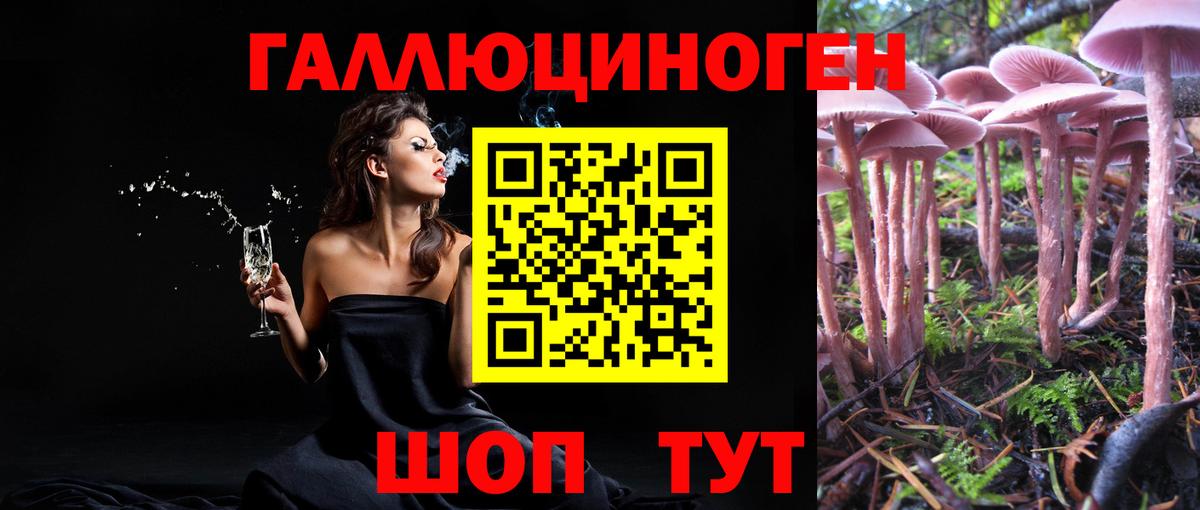 купить наркоту  Вход с VPN  Рославль  Псилоцибиновые грибы мухоморы 